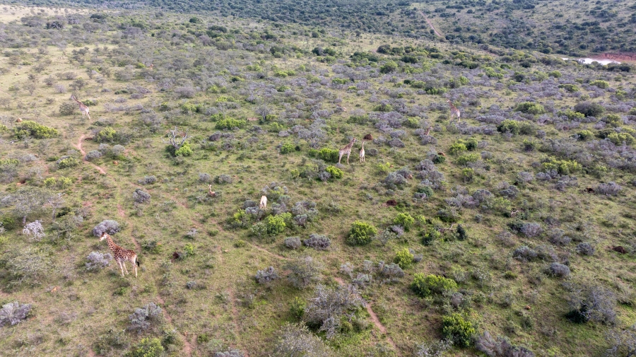 5 Bedroom Property for Sale in Grahamstown Rural Eastern Cape